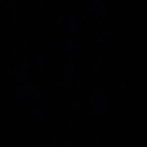 Meet your Posher, Max